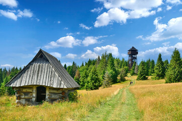 Two tourists are hiking on a mountain trail to the lookout wooden tower on Magurki peak in Gorce mountains, Poland.
Summer sunny day in mountains.