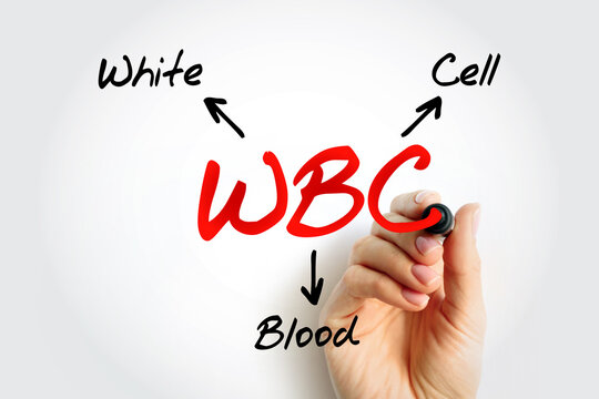WBC - White Blood Cell acronym, medical concept background