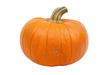 pumpkin isolated on transparency background PNG