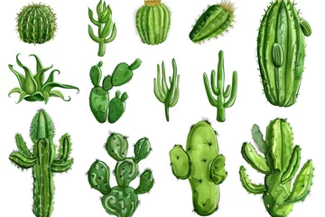 Raamstickers Cactus large set of colorful cactus plants