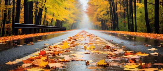 Foto op Canvas A wet road cuts through the forest on a rainy autumn day in Upstate New York. Fallen leaves cover the asphalt, creating a colorful contrast with the lush green trees. © TheWaterMeloonProjec