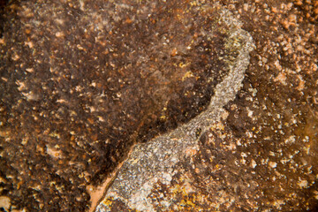 Texture of natural brown stone. Geodesy rocky texture