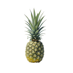 pineapple on transparency background PNG