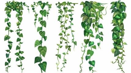 Green jungle liana vines with long stems and rope. Cartoon modern illustration of rainforest trees which are creeping with foliage. This tropical plant is climbing with long stems and ropes.