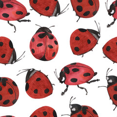 Obraz premium Pattern red beetle with white dots, insect, ladybug, watercolor illustration isolated on a white background