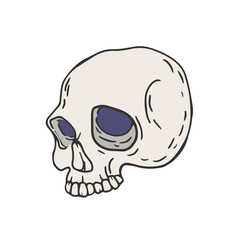 Scull clip art. Hand drawn illustration.	