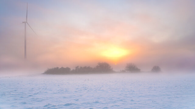 Germany, Hesse, Hunfelden, Snow in front of small grove and wind turbine at foggy winter sunrise