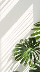 A large green palm plant positioned beside a white wall, creating a striking contrast in colors and textures, copy space