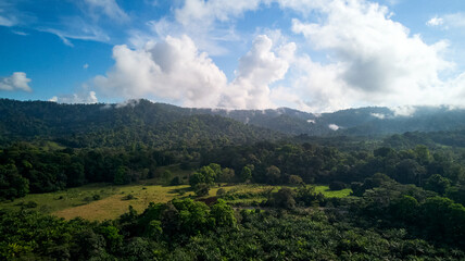Fototapeta na wymiar Aerial Shot Jungle and Puntarenas Costa Rica .