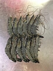 cold mixed raw meats seafood slices platter kuruma shrimp, tiger prawn, shell scallop, baby sotong...