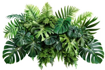 A lush green plant with many leaves and one large leaf. The plant is full and vibrant, giving off a sense of life and energy