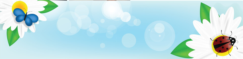 Realistic Summer Banner with Chamomiles and Insects. Summertime and nature concept vector art