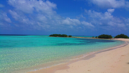 Fototapeta na wymiar beach with trees maldives island