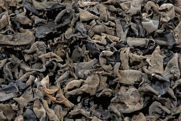 Dry black fungus or wood ear mushroom background