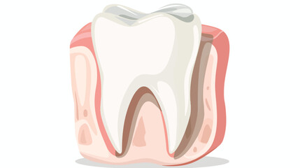 Illustration of one tooth. Isolated on a white background