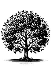 Tree Svg, Tree Clipart, Tree Cricut, Tree Cut file, Tree with leaves, Garden, Wood