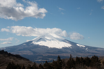 Obraz premium 晴天の富士山