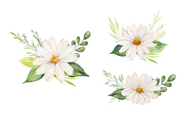 Fototapeta na wymiar Set of floral bouquets of daisies with plants. Watercolor illustrations of compositions with daisy buds with greenery and herbs. Design of invitations, cards, congratulations.