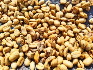 coffee beans being dried in the sun