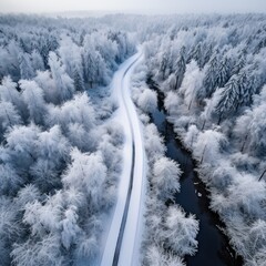 A drone's bird's eye view captures an empty forest road and snow-covered trees amidst the beauty of winter.