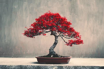 Schilderijen op glas a bonsai tree with red leaves © Alex