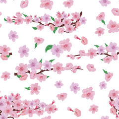 Seamless pattern with cherry blossom flowers on the branch