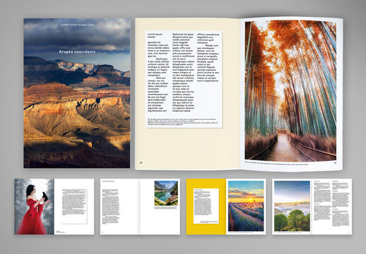 Modern Brochure