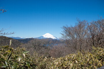 晴天の富士山