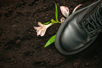 A man's foot steps on a young flower growing on the soil. Concept of Ecology,  destruction nature,...