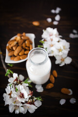 Fototapeta na wymiar Almond milk with almonds and almond blossoms on the table: the vegan alternative to traditional milk