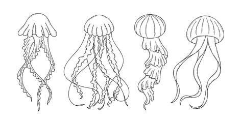Vector jellyfish set in outline style isolated on white background © Naiadin