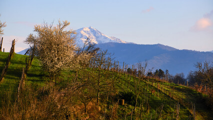 Foto scattata nelle colline attorno a Tassarolo (AL) al famoso Monte Tobbio.