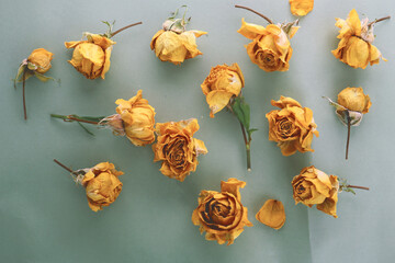 floral background of dry yellow roses