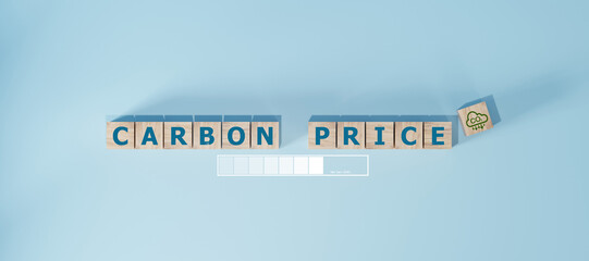 Word "CRABON PRICE" spelled out in blue text on wooden blocks. net zero concept. environment