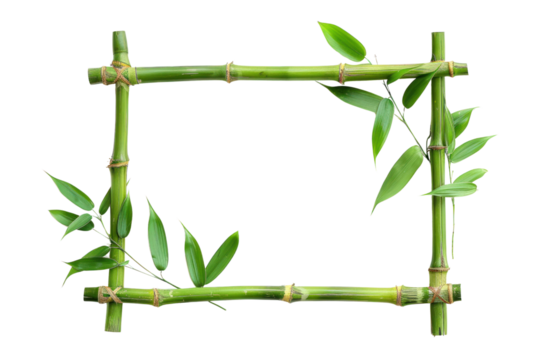 Horizontal Bamboo Frame with Leaves Transparent cutout. Tropical Greenery Design Element with Copy Space