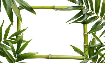 Fototapeta na wymiar Horizontal Bamboo Frame with Leaves Transparent cutout. Tropical Greenery Design Element with Copy Space