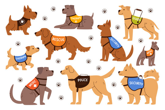 Trained security, medical, guide, therapy and rescuer service dogs assistants cartoon characters set