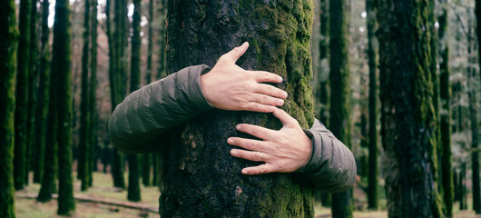 Nature lover hugging trunk tree with green musk in tropical woods forest. Green natural background....