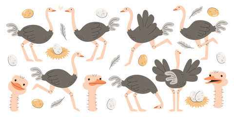Cute ostrich farm birds cartoon characters in different pose and face emotion isolated set