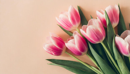 Fototapeta premium Pink tulip flowers on pastel peach background. Image for a wedding, women's day or mother's day themed greeting card or invitation