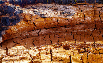 texture of rotten wood