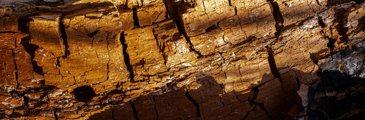 texture of rotten wood