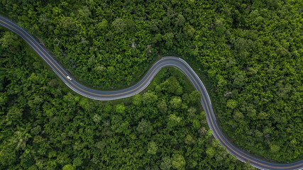Aerial view road through the green forest, Car drive going through forest, Aerial top view forest,...
