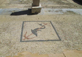 Remains of Ancient Structure with Floor Mosaic of a Dolphin Wrapped around Anchor, Archaeological Site of Delos Island, Mykonos, Greece - obrazy, fototapety, plakaty