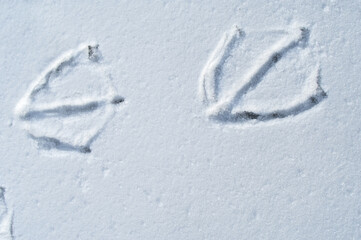 Fototapeta na wymiar 雪上に残った水鳥の足跡。