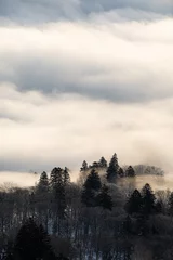 Printed kitchen splashbacks Forest in fog 雲に煙る山の森の幻想風景。