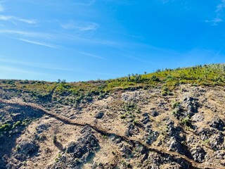 Hiking wooden boardwalk in mountains, hiking trail, wooden stairs