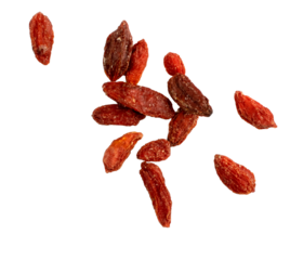 Dried barberry isolated, goji berries, dehydrated wolfberry