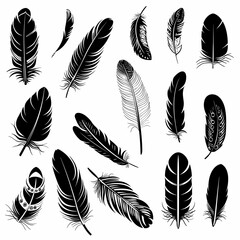 Black Vector Feather Collection on White Background, Svg Vector Clipart