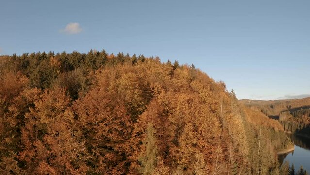 Central Slovakia's fiery fall. FPV drone dives through colorful foliage above a majestic dam. Sunlight paints the leaves mirroring on the glassy water. Perfect for nature doc or aerials. LuPa Creative